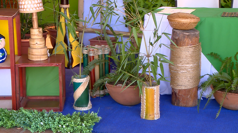 bambu
